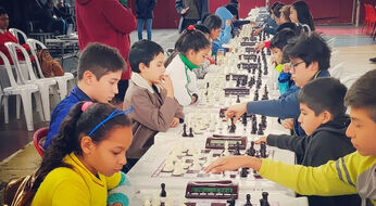 Respublika bo‘ylab “Shaxmat festivali” musobaqasining birinchi bosqichiga start berildi